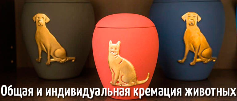 Кремация животных