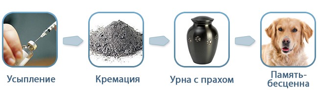 Усыпление и кремация животных на дому