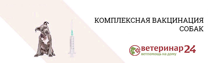Комплексная вакцинация собак и щенков на дому