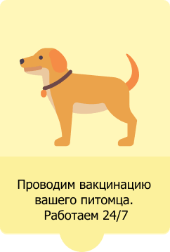Прививка собак от грибка (дерматомикоза)