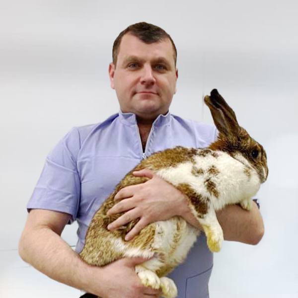 Смирнов Семён Никитич